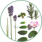 Organic essential oils