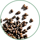 Grapeseed polyphenols