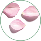 Organic rose hydrolat