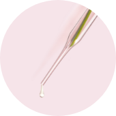 Vegan Collagen Booster